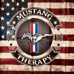 Drapeau USA Vintage - Logo Mustang Therapy