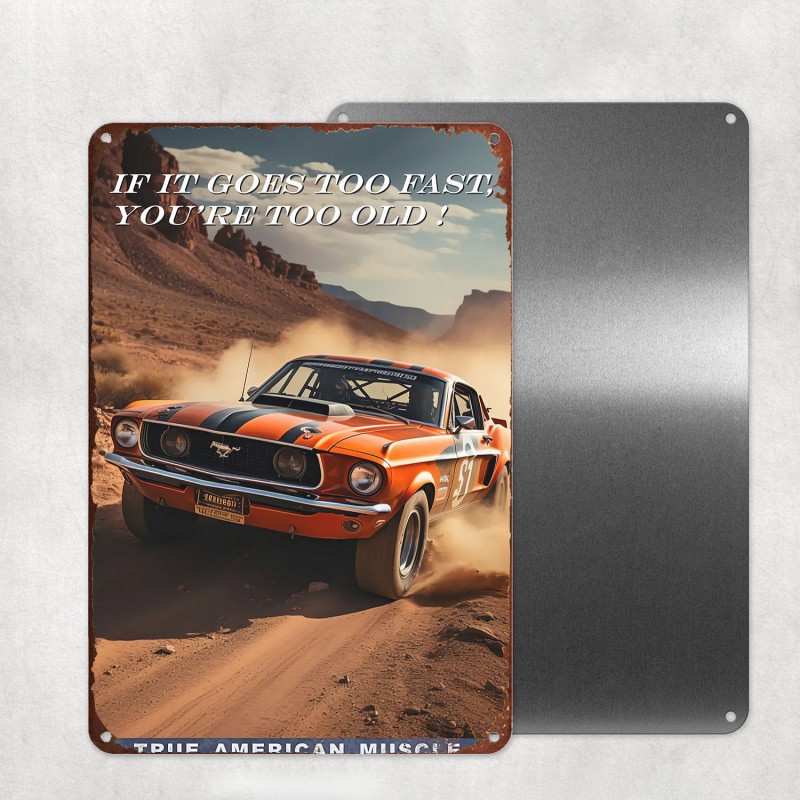 VENTE PRIVEE PLAQUES DECO 02 - FORD MUSTANG 60th ANNIVERSARY