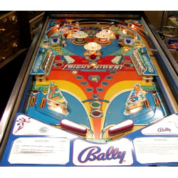 FLIPPER BALLY VINTAGE NIGHT RIDER PINBALL