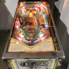 FLIPPER BALLY VINTAGE EIGHT BALL DELUXE PINBALL