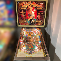 FLIPPER BALLY VINTAGE EIGHT BALL DELUXE PINBALL