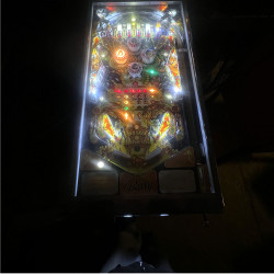 FLIPPER BALLY VINTAGE KISS PINBALL