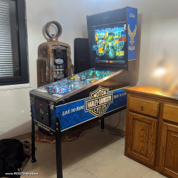 FLIPPER HARLEY DAVIDSON COLLECTOR BALLY VINTAGE PINBALL
