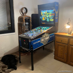 FLIPPER HARLEY DAVIDSON COLLECTOR BALLY VINTAGE PINBALL