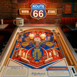 FLIPPER GOTTLIEB SPIRIT OF '76 VINTAGE PINBALL