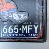 UNITED STATES PLATE